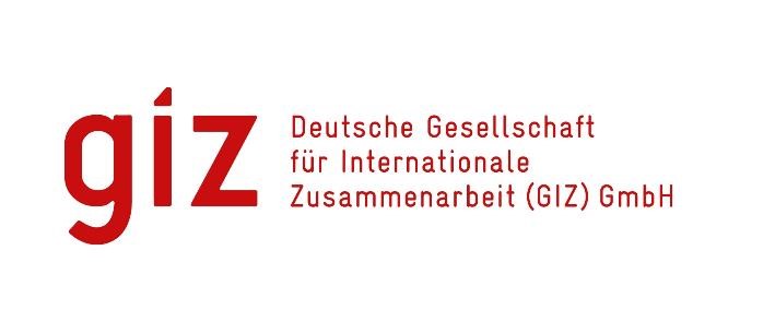 GIZ-Logo-100kb.jpg