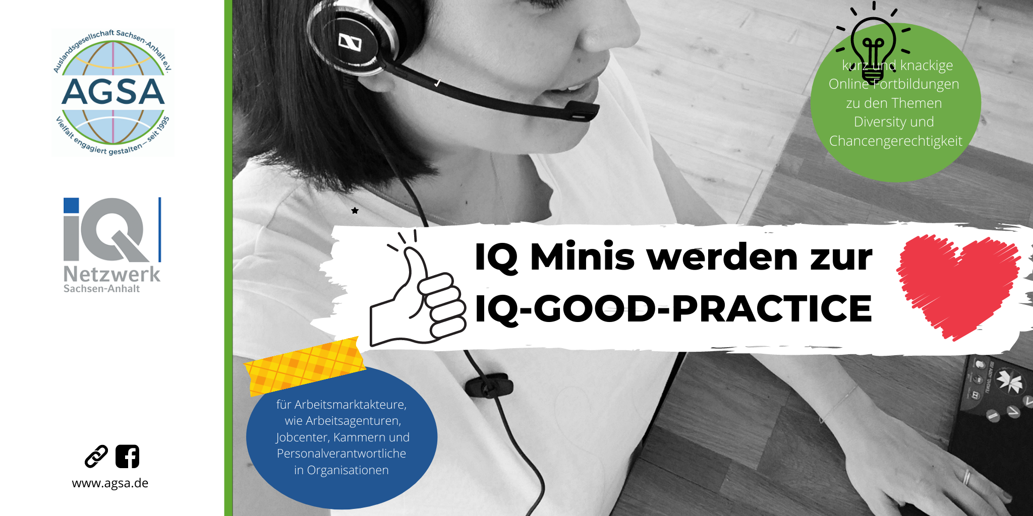 IQ MINIS